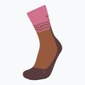 Icebreaker women's trekking socks Merino Hike+ Medium Crew Across the Peaks pop/carob