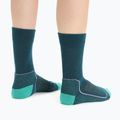 Icebreaker women's hiking socks Hike+ Light Crew green 105099 4