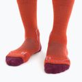 Icebreaker women's hiking socks Hike+ Light Crew red 105099 3