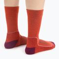 Icebreaker women's hiking socks Hike+ Light Crew red 105099 4