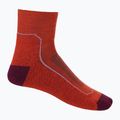Icebreaker women's hiking socks Hike+ Light Mini red 105098