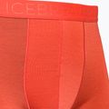 Men's thermal boxer shorts icebreaker Anatomica Cool-Lite red 105223 3