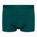 Men's thermal boxer shorts icebreaker Anatomica Cool-Lite green 105223
