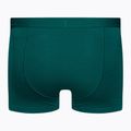Men's thermal boxer shorts icebreaker Anatomica Cool-Lite green 105223 2