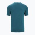 Men's Icebreaker Tech Lite II Cadence Paths trekking shirt green IB0A56N87281 7