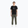 Men's Icebreaker Tech Lite II Polar Paddle trekking shirt black IB0A56NA0011 2