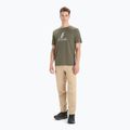 Men's Icebreaker Tech Lite II Polar Paddle trekking shirt green IB0A56NA0691 2