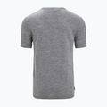 Men's Icebreaker Tech Lite II Nature Sprint trekking shirt grey IB0A56NB0041 7