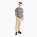 Men's Icebreaker Tech Lite II Nature Sprint trekking shirt grey IB0A56NB0041 2