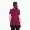 Icebreaker Tech Lite II SS women's trekking shirt purple 3