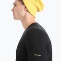 Men's Icebreaker 200 Oasis Crewe Ski Stripes thermal sweatshirt black 5