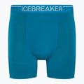 Men's thermal boxer shorts Icebreaker Anatomica Geo Blue 103029