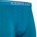 Men's thermal boxer shorts Icebreaker Anatomica Geo Blue 103029 3