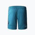 Men's running shorts The North Face MA Fleece blue NF0A823OES31 7