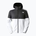 Men's trekking sweatshirt The North Face MA Full Zip Fleece white NF0A823PRL61