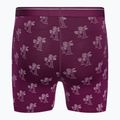 Men's thermal boxer shorts icebreaker Anatomica Go Berry 103029 2