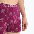 Men's thermal boxer shorts icebreaker Anatomica Go Berry 103029 7