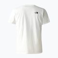 Men's trekking t-shirt The North Face Foundation Graphic white NF0A55EFQ4C1 2