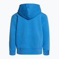 Children's trekking sweatshirt The North Face Drew Peak P/O Hoodie blue NF0A82ENLV61 2
