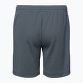 Nike Dri-Fit Multi smoke grey/white children's shorts 2