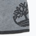 Men's winter beanie Timberland Reversible Logo Beanie light grey heather 2