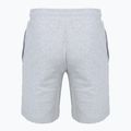 Men's shorts Napapijri N-Gori blu light grey melange 2