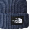 The North Face Salty shady blue cap 2