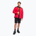 Men's fleece sweatshirt The North Face Alpine Polartec 200 FZ red NF0A7WWLKZ31 2