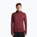 Men's sweatshirt Icebreaker Merino 260 Quantum IV LS Zip Hoodie port/agate