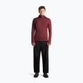 Men's sweatshirt Icebreaker Merino 260 Quantum IV LS Zip Hoodie port/agate 4