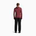 Men's sweatshirt Icebreaker Merino 260 Quantum IV LS Zip Hoodie port/agate 5