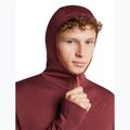 Men's sweatshirt Icebreaker Merino 260 Quantum IV LS Zip Hoodie port/agate 6