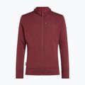 Men's sweatshirt Icebreaker Merino 260 Quantum IV LS Zip Hoodie port/agate 10