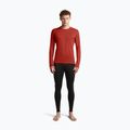 Men's thermal sweatshirt Icebreaker 260 Tech Crewe Agate 4