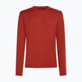 Men's thermal sweatshirt Icebreaker 260 Tech Crewe Agate 6