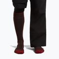 Men's ski socks icebreaker Merino Ski+ Medium OTC bittersweet/port/black 3