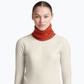 Multifunctional neck gaiter icebreaker Apex Chute agate 6