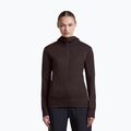 Women's sweatshirt Icebreaker Merino 260 Quantum IV LS Zip Hoodie bittersweet