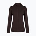 Women's sweatshirt Icebreaker Merino 260 Quantum IV LS Zip Hoodie bittersweet 9