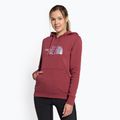 Women's trekking sweatshirt The North Face Drew Peak Pullover Hoodie wild ginger NF0A55EC6R41