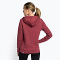 Women's trekking sweatshirt The North Face Drew Peak Pullover Hoodie wild ginger NF0A55EC6R41 4