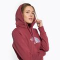 Women's trekking sweatshirt The North Face Drew Peak Pullover Hoodie wild ginger NF0A55EC6R41 5