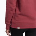 Women's trekking sweatshirt The North Face Drew Peak Pullover Hoodie wild ginger NF0A55EC6R41 8