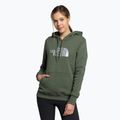 Women's trekking sweatshirt The North Face Drew Peak Pullover Hoodie green NF0A55ECNYC1