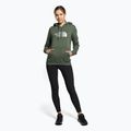 Women's trekking sweatshirt The North Face Drew Peak Pullover Hoodie green NF0A55ECNYC1 2