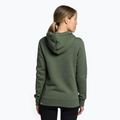 Women's trekking sweatshirt The North Face Drew Peak Pullover Hoodie green NF0A55ECNYC1 4