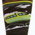 Men's Smartwool Snowboard Targeted Cushion Piste Machine OTC green SW001922D11 snowboard socks 4