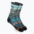 Women's trekking socks Smartwool Hike Light Cushion Icy Range Print Crew colourful SW001988150