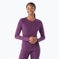 Women's thermal base layer sweatshirt Smartwool Merino 250 Baselayer Crew Boxed purple iris heather