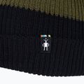 Smartwool Cantar Colorblock winter moss cap 2